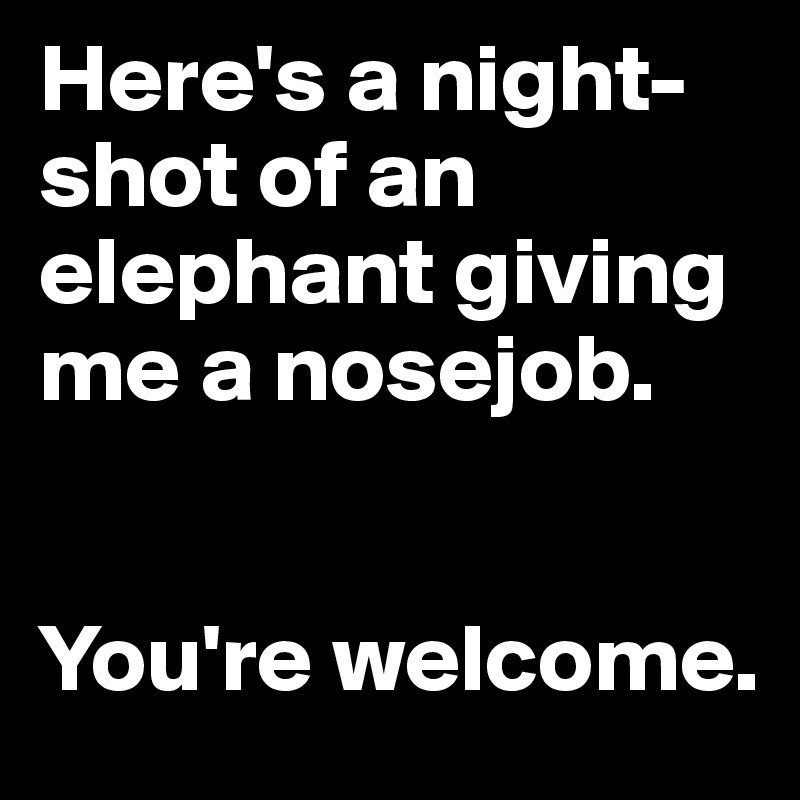 Here's a night-shot of an elephant giving me a nosejob. 


You're welcome.