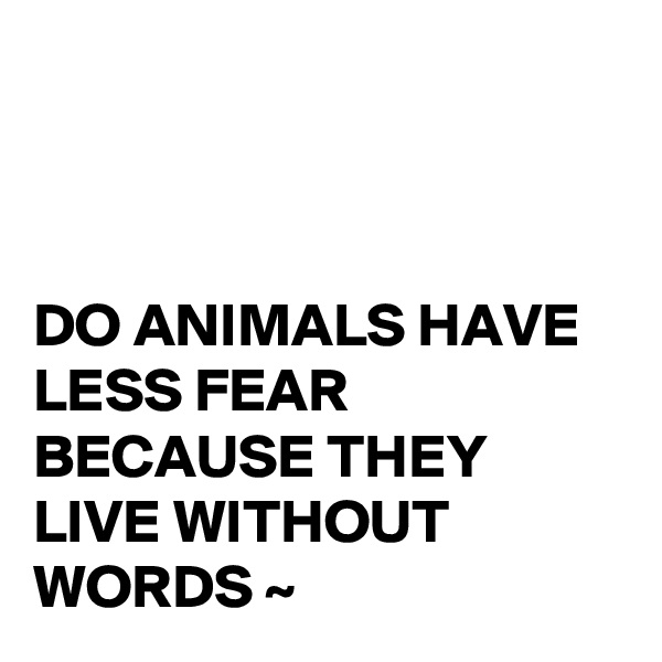 



DO ANIMALS HAVE LESS FEAR BECAUSE THEY LIVE WITHOUT WORDS ~