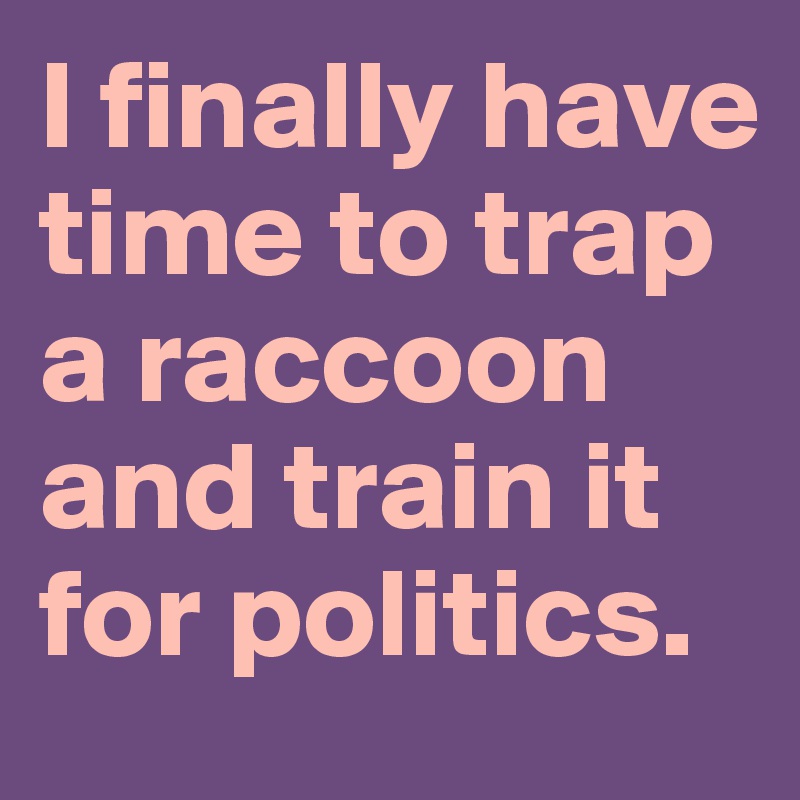 I finally have time to trap a raccoon and train it for politics.