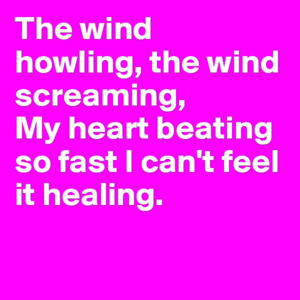 The wind howling, the wind screaming,
My heart beating so fast I can't feel it healing.

