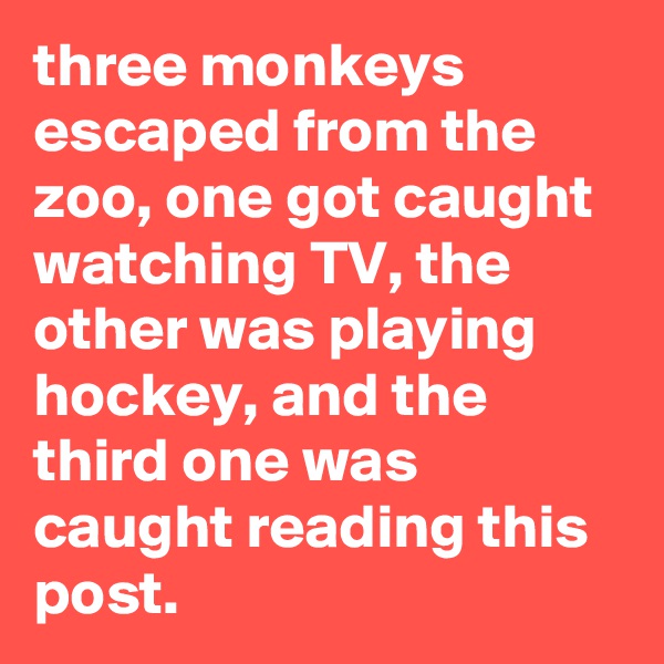three monkeys escaped from the zoo, one got caught watching TV, the other was playing hockey, and the third one was caught reading this post. 
