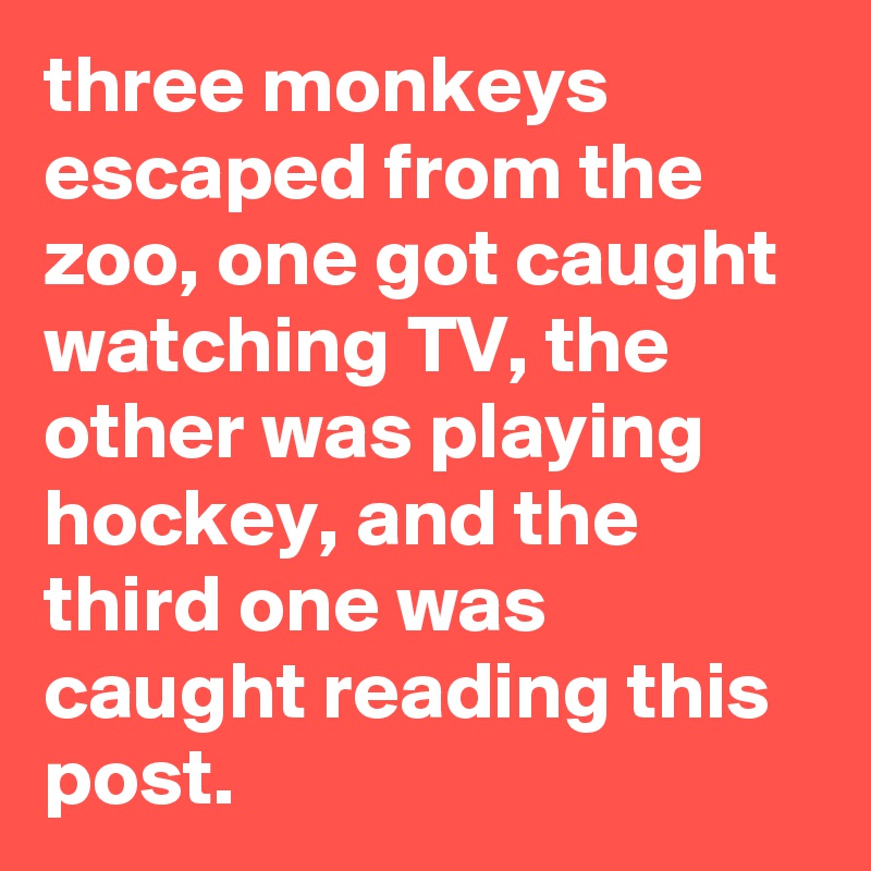 three monkeys escaped from the zoo, one got caught watching TV, the other was playing hockey, and the third one was caught reading this post. 