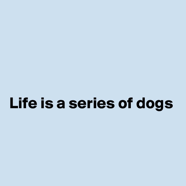 




Life is a series of dogs


