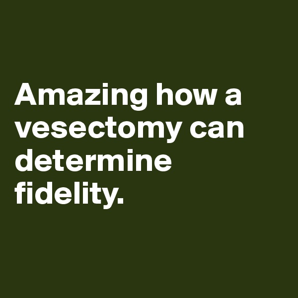 

Amazing how a vesectomy can determine fidelity.


