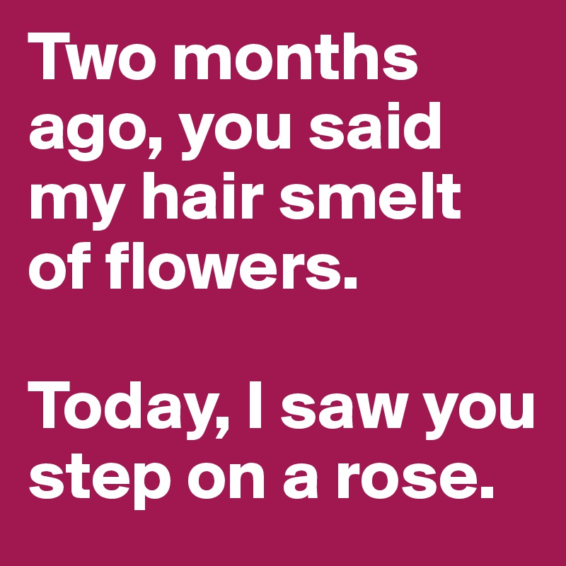 Two months ago, you said my hair smelt of flowers.

Today, I saw you step on a rose.