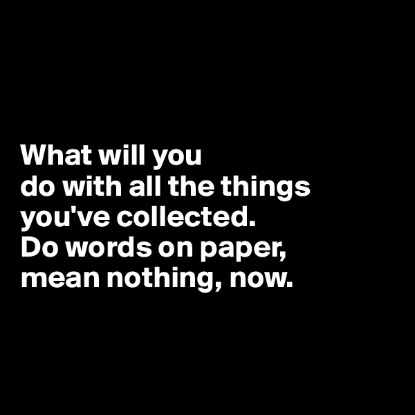 



What will you 
do with all the things you've collected. 
Do words on paper, 
mean nothing, now.



