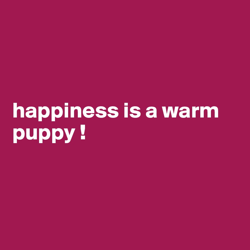 



happiness is a warm             puppy ! 



