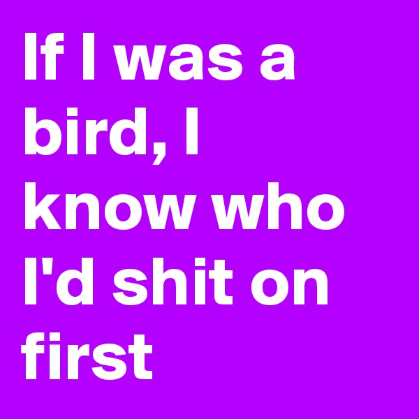 If I was a bird, I know who I'd shit on first
