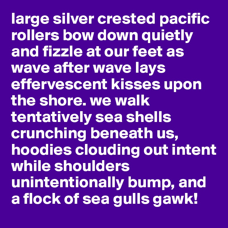 large silver crested pacific rollers bow down quietly and fizzle at our feet as wave after wave lays effervescent kisses upon the shore. we walk tentatively sea shells crunching beneath us, 
hoodies clouding out intent 
while shoulders unintentionally bump, and  a flock of sea gulls gawk!