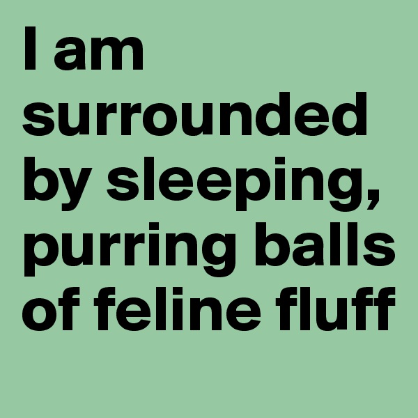 I am surrounded by sleeping, purring balls of feline fluff
