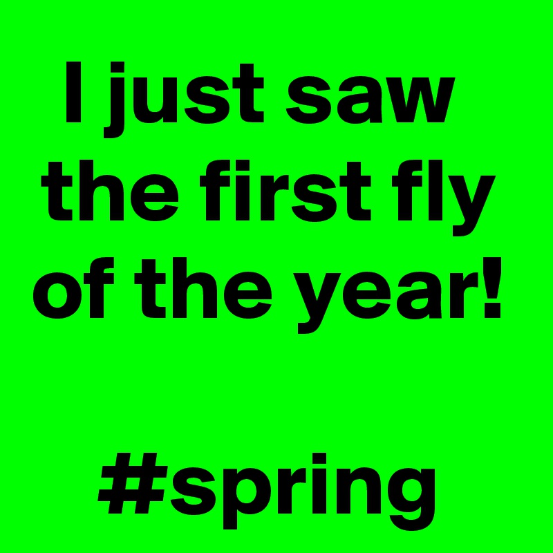 I just saw 
the first fly
of the year!

#spring