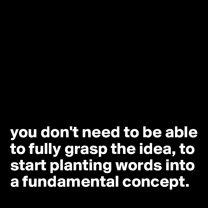 






you don't need to be able to fully grasp the idea, to start planting words into a fundamental concept. 