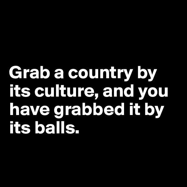 


Grab a country by its culture, and you have grabbed it by its balls.

   