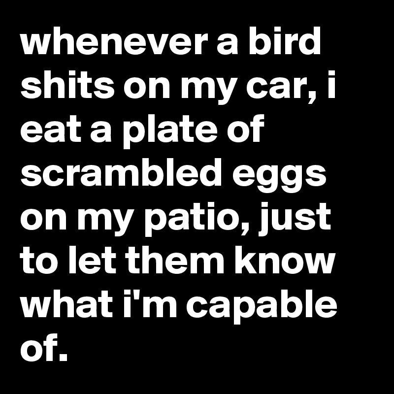 whenever a bird shits on my car, i eat a plate of scrambled eggs on my patio, just to let them know what i'm capable of.