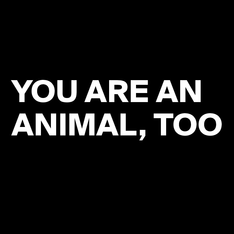 

YOU ARE AN ANIMAL, TOO

