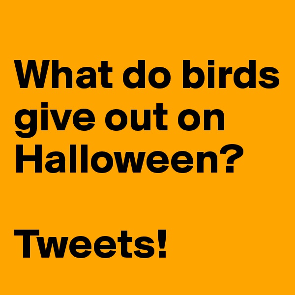 
What do birds give out on Halloween? 

Tweets!