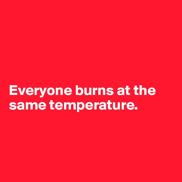 




Everyone burns at the same temperature.



