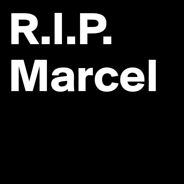 R.I.P.
Marcel                    