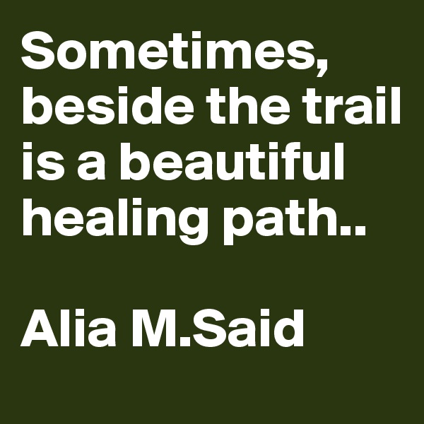 Sometimes, beside the trail is a beautiful healing path..

Alia M.Said