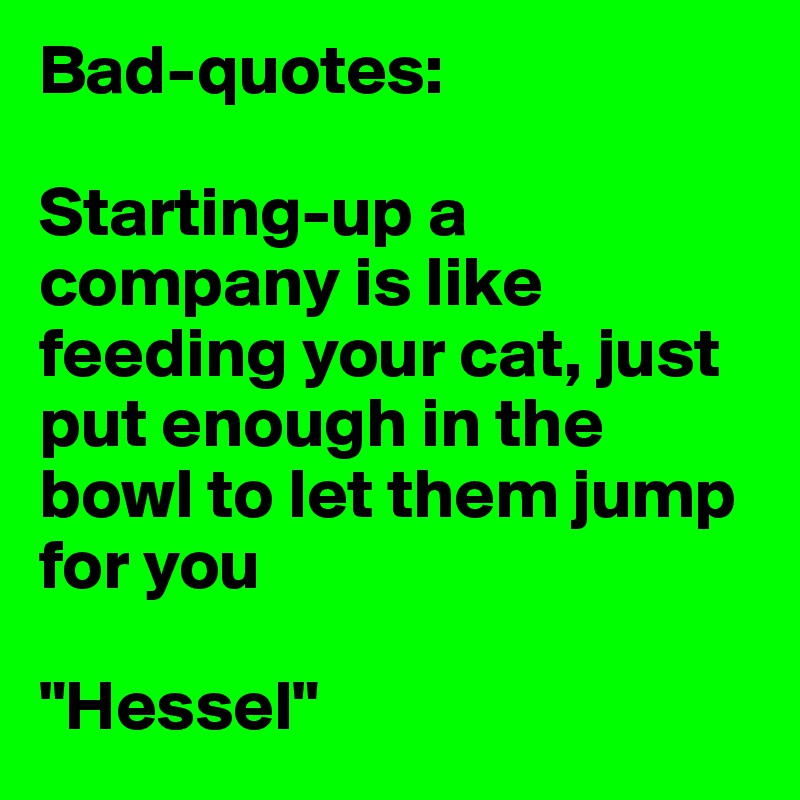 Bad-quotes:

Starting-up a company is like feeding your cat, just put enough in the bowl to let them jump for you

"Hessel"