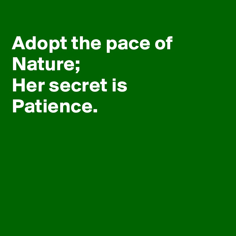 
Adopt the pace of 
Nature;
Her secret is
Patience.




