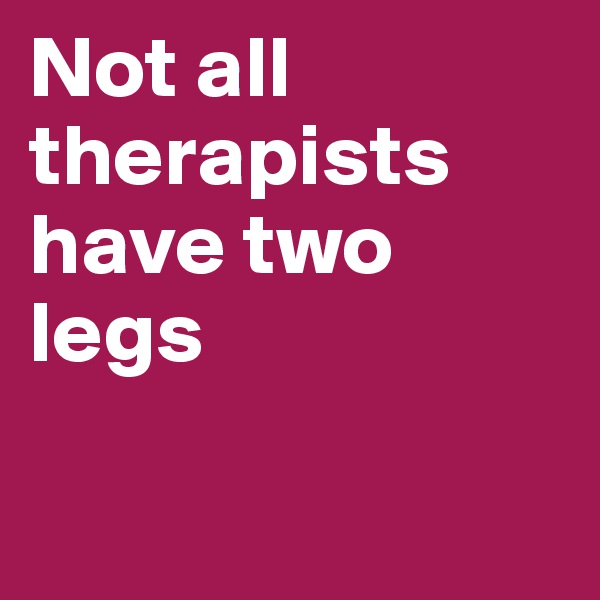 Not all therapists have two legs

