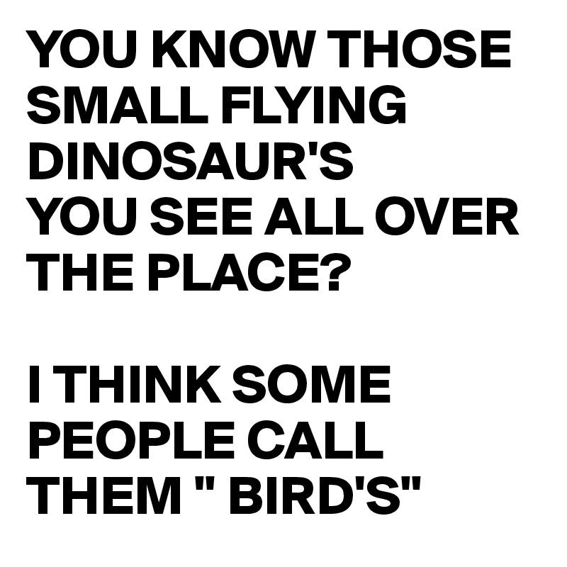 YOU KNOW THOSE SMALL FLYING DINOSAUR'S
YOU SEE ALL OVER THE PLACE?

I THINK SOME PEOPLE CALL THEM " BIRD'S"