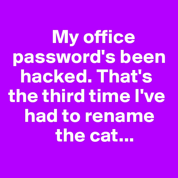 
           My office    
 password's been    
   hacked. That's  the third time I've   
    had to rename    
            the cat...
