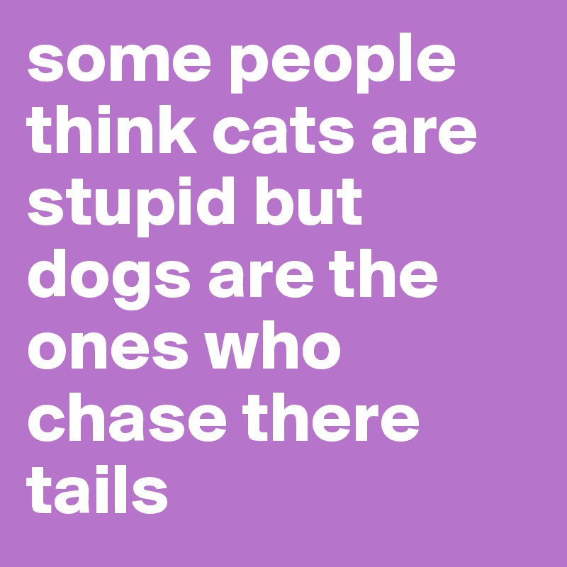some people think cats are stupid but dogs are the ones who chase there tails