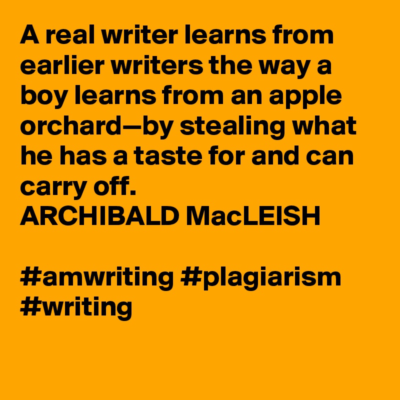 A real writer learns from earlier writers the way a boy learns from an apple orchard—by stealing what he has a taste for and can carry off.
ARCHIBALD MacLEISH

#amwriting #plagiarism #writing