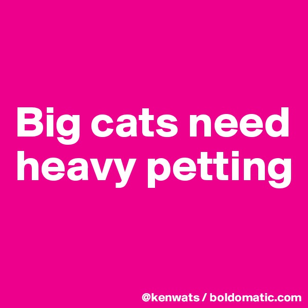 

Big cats need heavy petting

