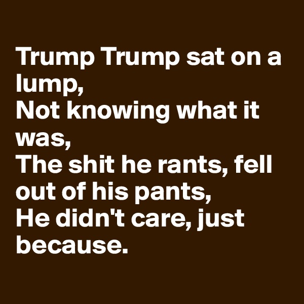 
Trump Trump sat on a lump,
Not knowing what it was,
The shit he rants, fell out of his pants,
He didn't care, just because. 

