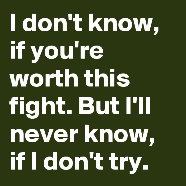I don't know, if you're worth this fight. But I'll never know, if I don't try.
