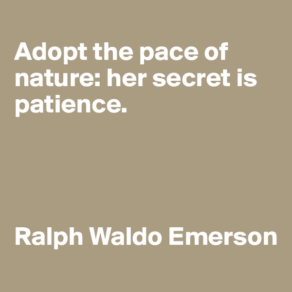 
Adopt the pace of nature: her secret is patience.




Ralph Waldo Emerson
