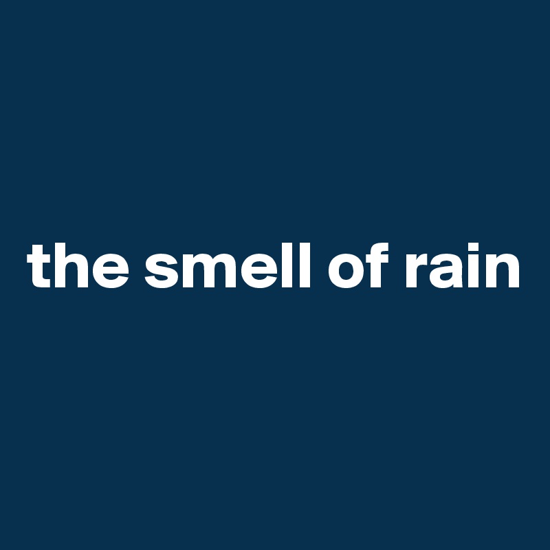 


the smell of rain


