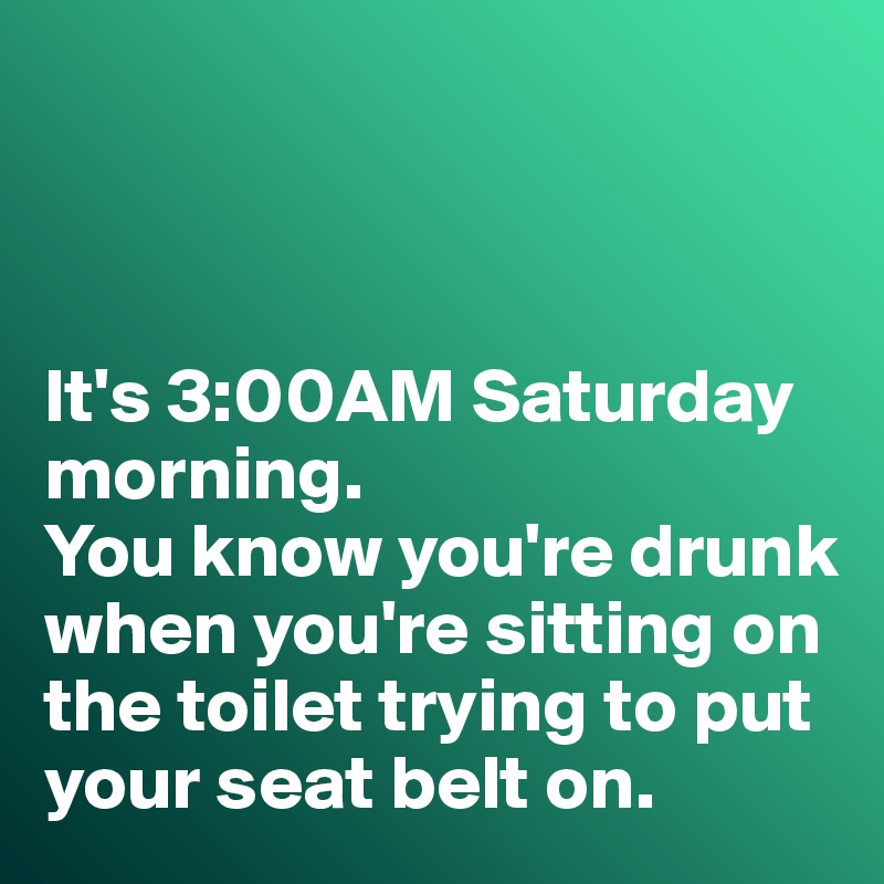 



It's 3:00AM Saturday morning. 
You know you're drunk when you're sitting on the toilet trying to put your seat belt on. 