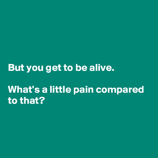 




But you get to be alive.

What's a little pain compared to that?



