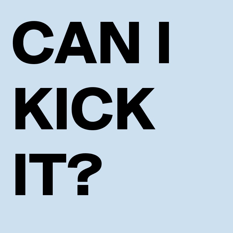 CAN I KICK IT?