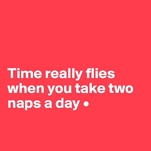 



Time really flies when you take two naps a day •

