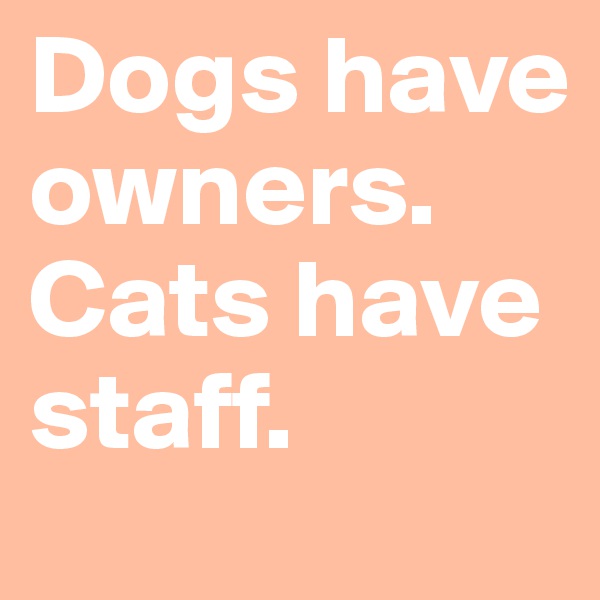 Dogs have owners. Cats have staff.