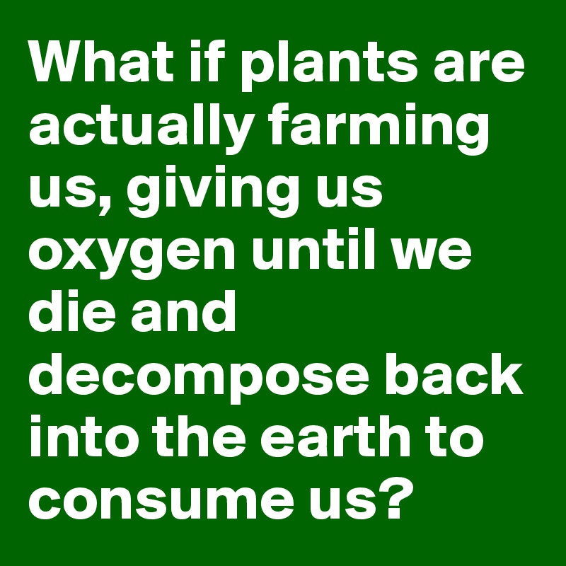 What if plants are actually farming us, giving us oxygen until we die and decompose back into the earth to consume us?