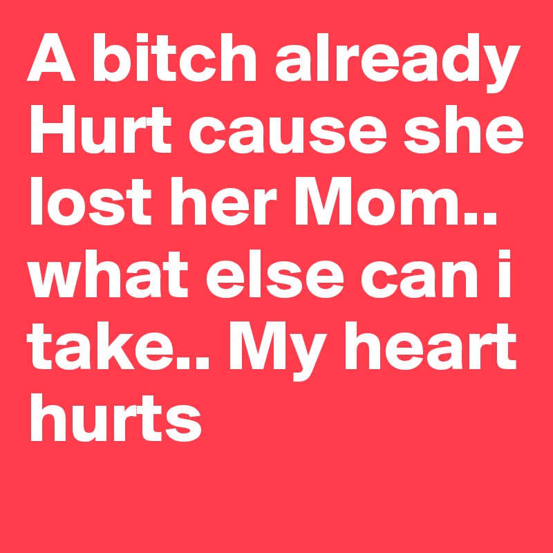 A bitch already Hurt cause she lost her Mom.. what else can i take.. My heart hurts 