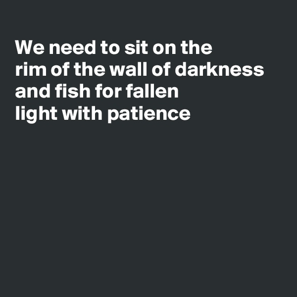 
We need to sit on the 
rim of the wall of darkness 
and fish for fallen
light with patience 






