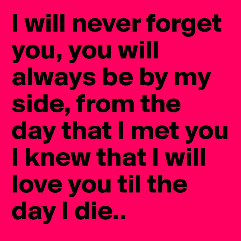 I will never forget you, you will always be by my side, from the day that I met you I knew that I will love you til the day I die..