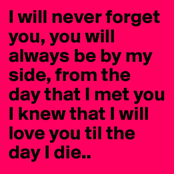 I will never forget you, you will always be by my side, from the day that I met you I knew that I will love you til the day I die..