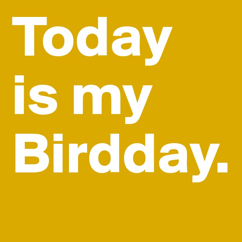 Today is my Birdday.