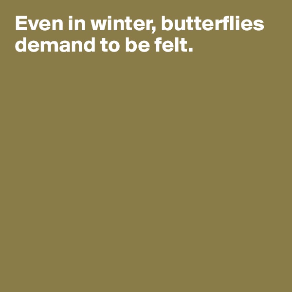Even in winter, butterflies demand to be felt. 









