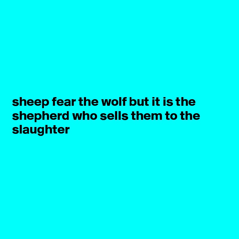 





sheep fear the wolf but it is the shepherd who sells them to the slaughter





