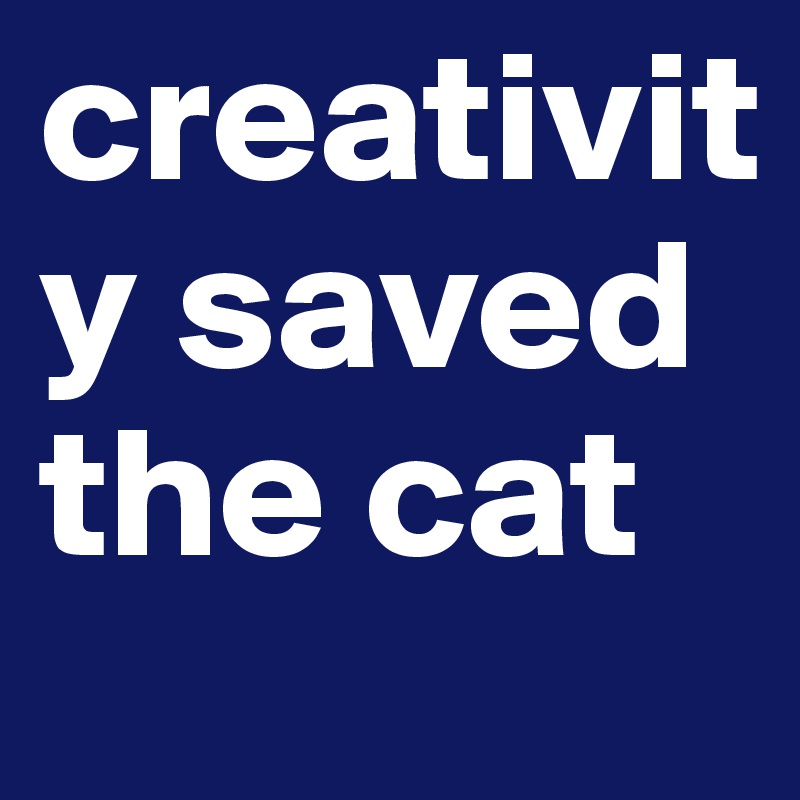 creativity saved the cat