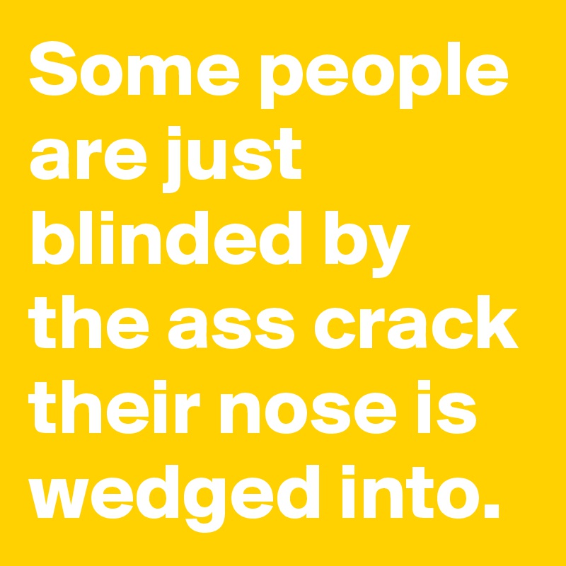 Some people are just blinded by the ass crack their nose is wedged into.
